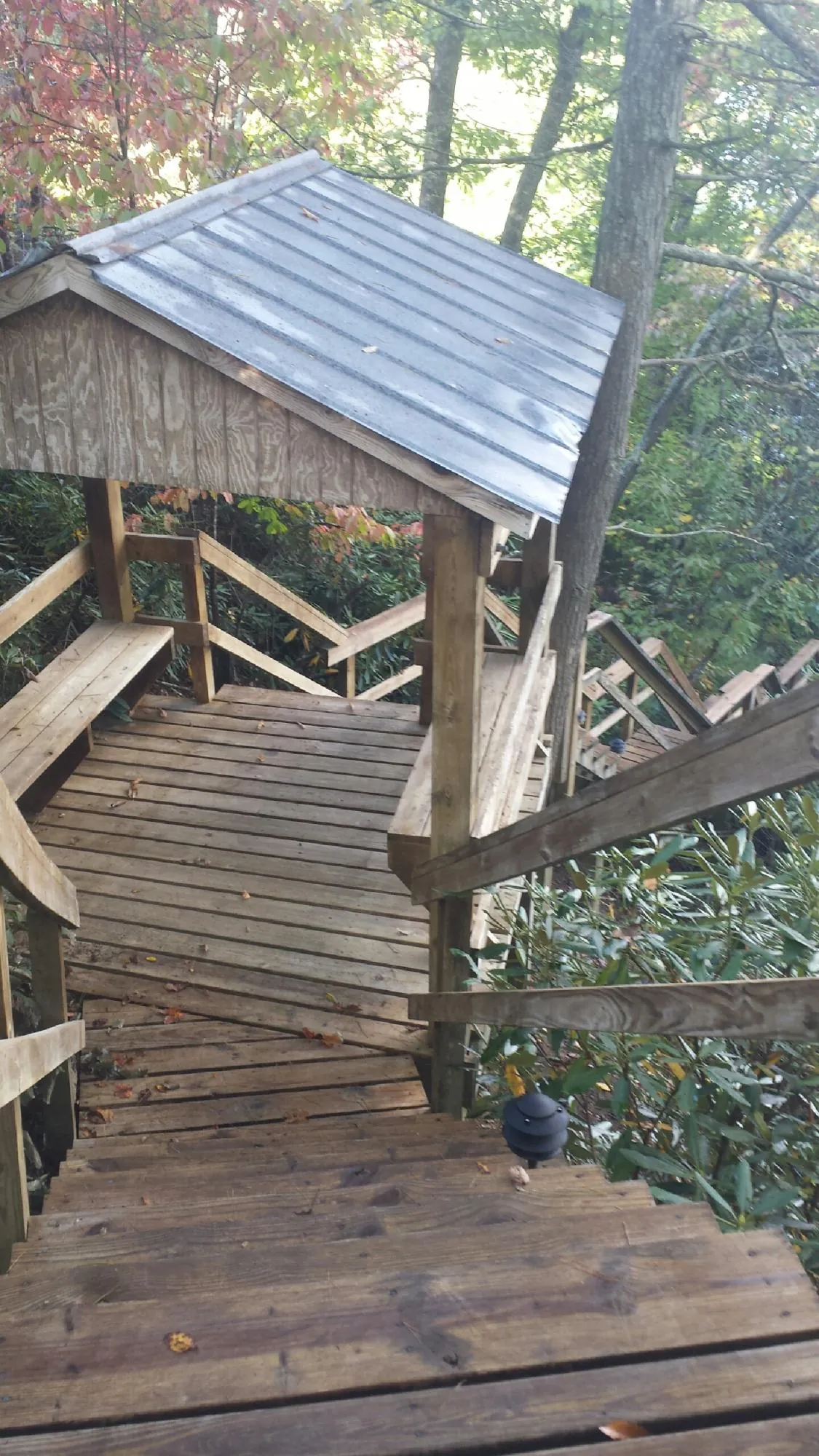 Metal roofed shelter over wooden steps on a wooded walkway — Skylight Repair & Installation work by our crew in Chokoloskee