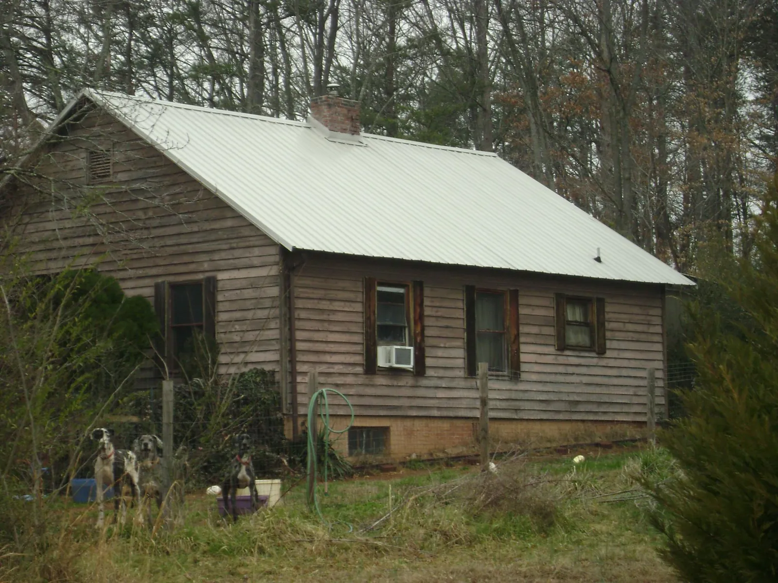 White metal roof on an old wood sided farmhouse, from a Metal Roof Installation job in Chokoloskee